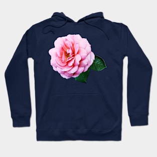 Pink Renaissance Rose Hoodie